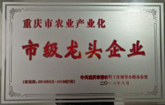 市級(jí)龍頭企業(yè)